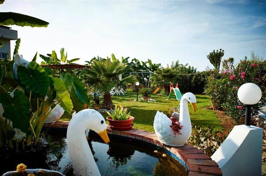 Case Vacanze Giardino Parghelia Kültér fotó