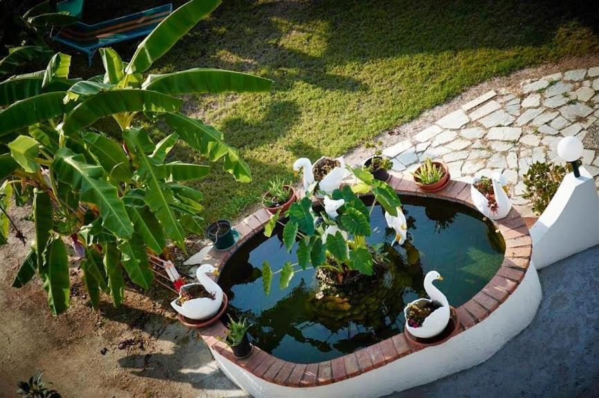 Case Vacanze Giardino Parghelia Kültér fotó